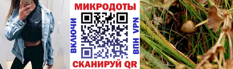 Галлюциногенные грибы GOLDEN TEACHER  мориарти клад  Пикалёво 