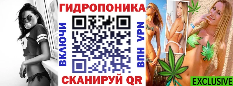 Канабис семена  Пикалёво 
